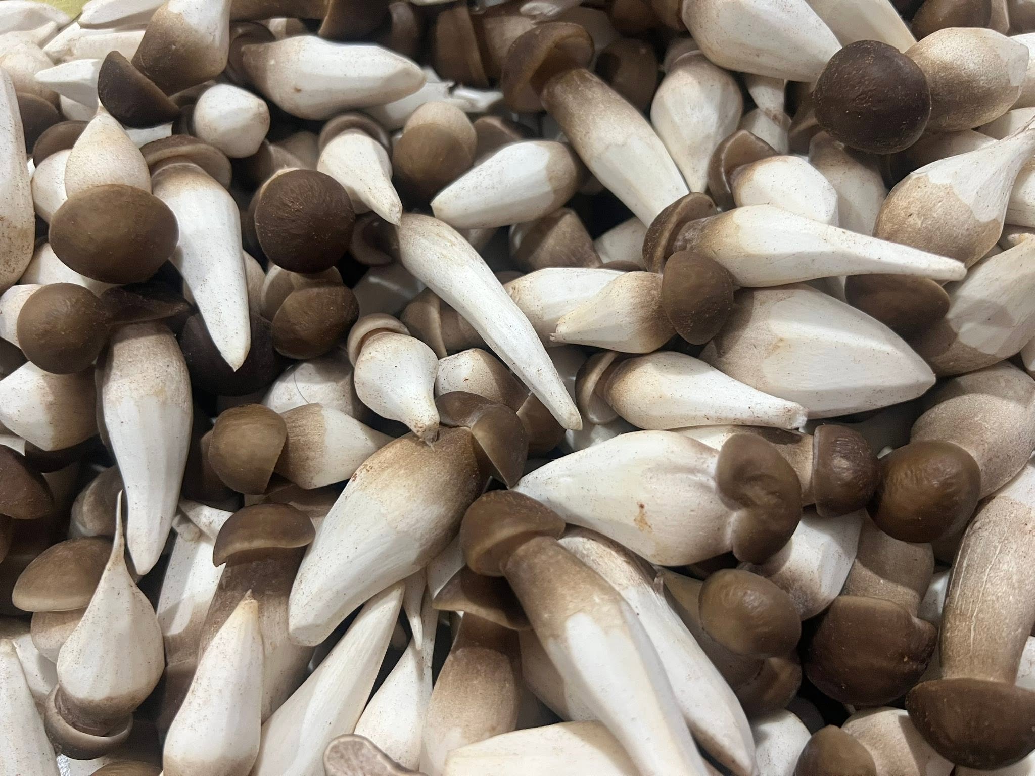 Nấm mối đen tươi với mũ nâu, thân trắng chắc
